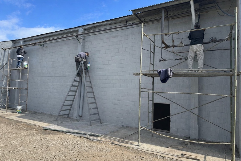 SERVICIO DE FRIO PARA PAPA SEMILLA - Abasto