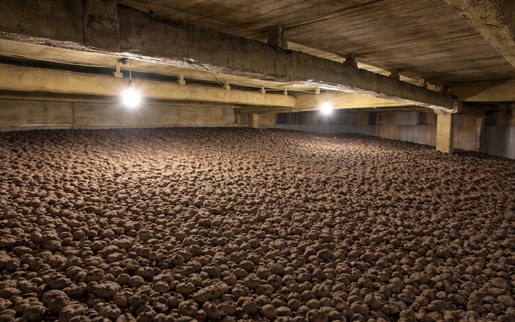 ALMACENAJE TOLLING A GRANEL - Notra Mare