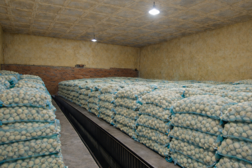 [Web Service] SERVICIO DE FRIO PARA PAPA SEMILLA - Abasto